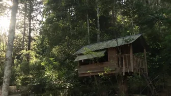 Moving In To Our Magical Treehouse and Rainforest Cabin #7