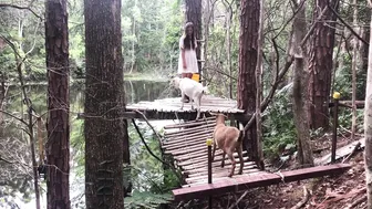 Summer Days in the Rainforest: Building a Bamboo Treehouse! #4