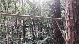 Summer Days in the Rainforest: Building a Bamboo Treehouse! #7