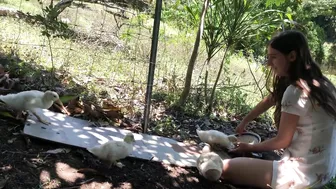 What We Do in a Day: Zero Waste Building, Duck Cuddles and Goat Drama! #8