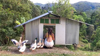 Our Morning Routine: Feeding all the Animals and Cooking a Homegrown Meal Foraged from the Garden