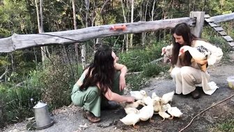 Our Morning Routine: Feeding all the Animals and Cooking a Homegrown Meal Foraged from the Garden #2