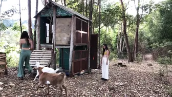 Our Morning Routine: Feeding all the Animals and Cooking a Homegrown Meal Foraged from the Garden #5