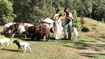 Our Morning Routine: Feeding all the Animals and Cooking a Homegrown Meal Foraged from the Garden #9