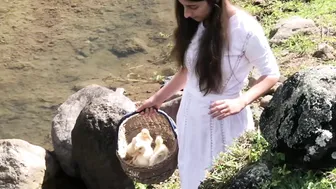 Calming Video of Our Ducklings' First Swim in the Stream (with Anastasia the Mumma Duck) #10