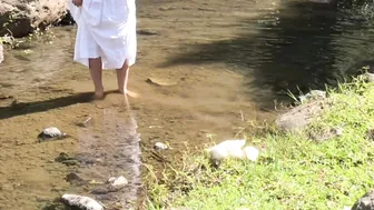 Calming Video of Our Ducklings' First Swim in the Stream (with Anastasia the Mumma Duck) #2