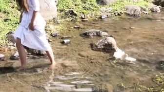 Calming Video of Our Ducklings' First Swim in the Stream (with Anastasia the Mumma Duck) #6