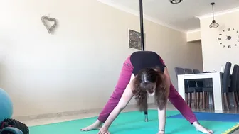 Bow and arrow #3