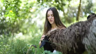 Harvesting Rare Fruits: A Tour of Our 60 Year Old Food Forest #8