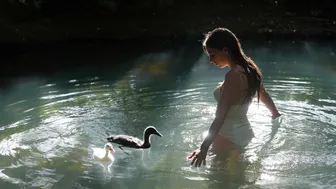 Calming Swim with My Pet Ducks: Daily Life in the Countryside #1