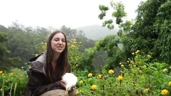 Daily Routines of My Countryside Life: Harvesting and Cooking from Tropical Fruit #10