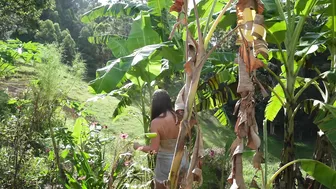 Daily Routines of My Countryside Life: Harvesting and Cooking from Tropical Fruit #7