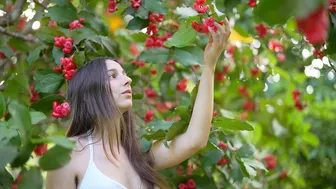 The Calming Sounds of Summertime: Harvesting, Cooking and Gardening