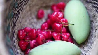 The Calming Sounds of Summertime: Harvesting, Cooking and Gardening #10