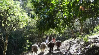 Growing Our Own Food: 60 Years of Self-Sufficiency in the Countryside #4