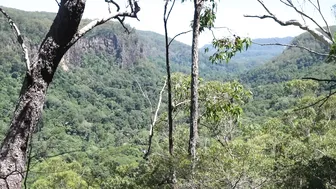 Discovering a Hidden Rainforest in an Ancient Volcano Crater #3