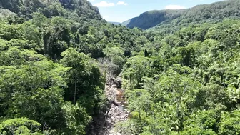 Discovering a Hidden Rainforest in an Ancient Volcano Crater #8