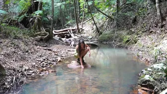 Summer Routines in the Australian Rainforest #4