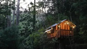 Our Tiny Home Treehouse Escape #9