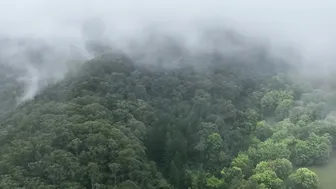 Morning Routines in our Rainforest Cabin #9