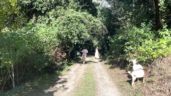 A Calming Morning Routine of Foraging in the Food Forest and Caring for Animals #4