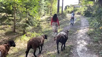 Building an Off-Grid Art Studio in the Mountains: Magical Moments and a Baby Goat Surprise! #3