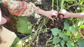 Living Wild In The Rainforest: Swimming under Waterfalls and Growing A Permaculture Food Forest #4