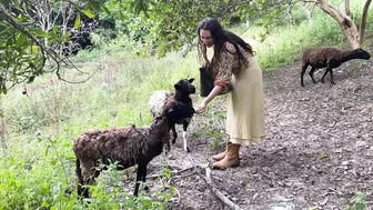 Living Wild In The Rainforest: Swimming under Waterfalls and Growing A Permaculture Food Forest #8