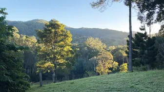 Daily Life in our Permaculture Garden: Sunny Days of Planting an Orchard and Harvesting Fruit #2