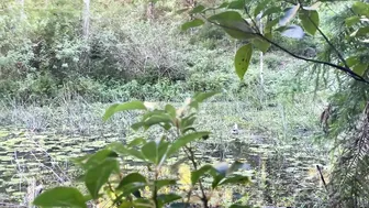 Daily Life in our Permaculture Garden: Sunny Days of Planting an Orchard and Harvesting Fruit #9