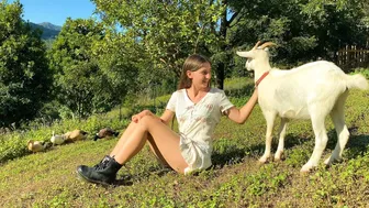 A Magical Day in our Permaculture Food Forest: How Two Goats Changed Everything