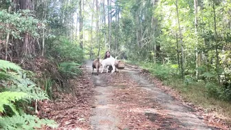 A Magical Day in our Permaculture Food Forest: How Two Goats Changed Everything #2