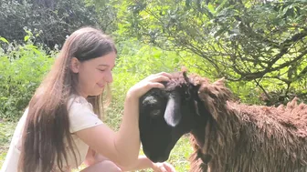 A Magical Day in our Permaculture Food Forest: How Two Goats Changed Everything #7