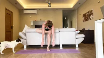 Easy seated stretches #3