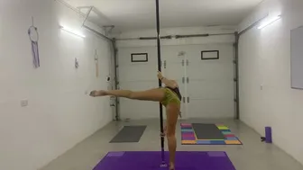 Spin pole