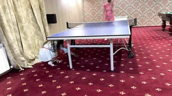 LITTLE PRINCESS vs Renita - Women's table tennis #7