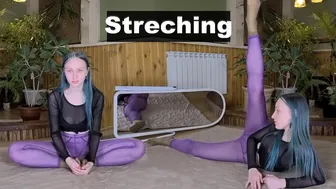 Full Body Stretching | Warms up all the muscles