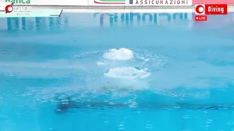 Giulia Vittorioso - 1m Springboard Diving | Women's Diving Summer Championship indoor #3