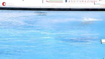 Women's Diving: Best Dives of Elena Bertocchi - 1m Springboard Diving #6