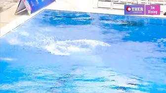 Mireya Bonilla - 3m Springboard Diving #9