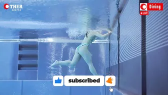 Amelie Foerster - 1m Springboard Diving #5