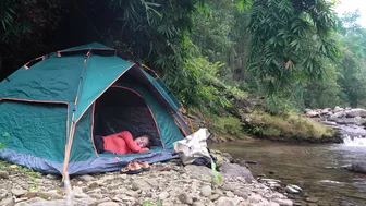 SOLO CAMPING GIRL SWIM TO CATCH SHRIMP FOR COOKING IN THE WILD #4