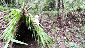 FULL VIDEO: Under heavy rain, the girl made a shelter alone - Enjoying a relaxing life in the forest #8