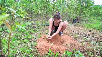 Beautiful girl sets up tent overnight in the forest - catches stream fish for food | Survival #1 #6