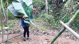 3-day challenge of camping alone in the forest- Set up a tent for the night and look for food #4