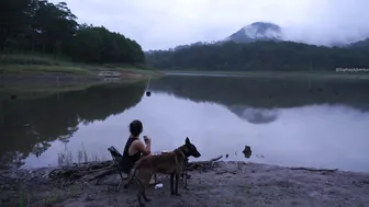 Solo Camping In The Rain With My Dog - Relaxing In Tent With Nature Sound #8