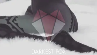 Darkest Fox • Checkmate • Luxury Stockings #2