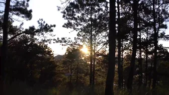 YOUNG GIRL SOLO CAMPING in the HEAVY RAIN - RELAXING in COZY TENT with SOUND OF RAIN #10