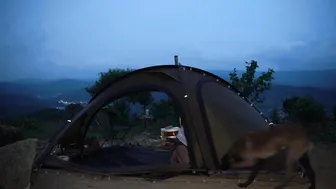 Solo Girl Camping In The Mountains With My Dog - Sophia Adventures #6