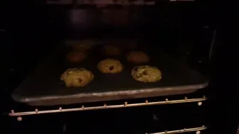 Ifrit makes oatmeal cookies #9